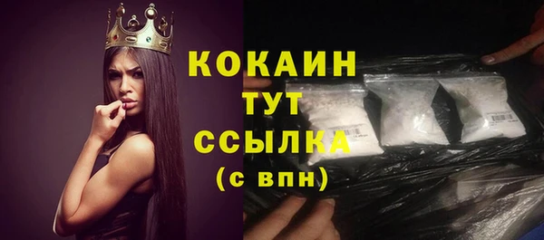 твердый Арсеньев