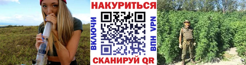 Бошки марихуана семена  Новосиль 